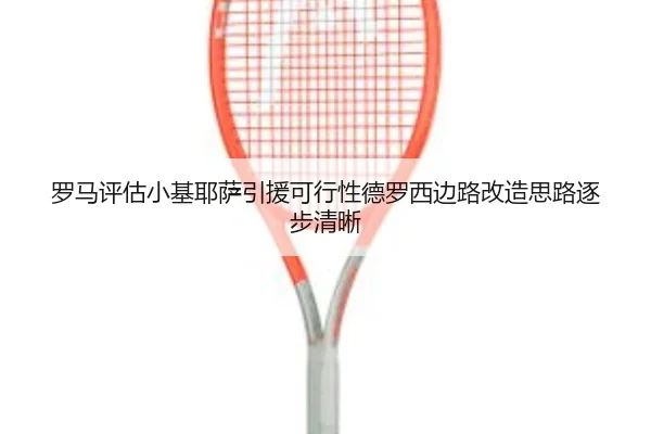 luo-ma-ping-gu-xiao-ji-ye-sa-yin-yuan-ke-xing-xing-de-luo-xi-bian-lu-gai-zao-si-lu-zhu-bu-qing-xi-2-378.jpg
