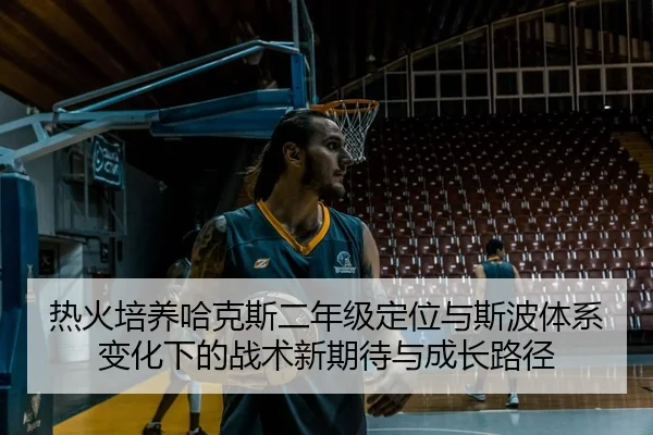 热火培养哈克斯二年级定位与斯波体系变化下的战术新期待与成长路径